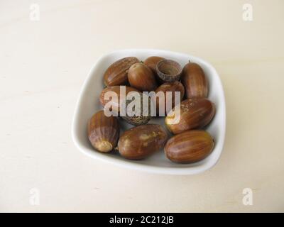 Brown acorns in autumn Stock Photo