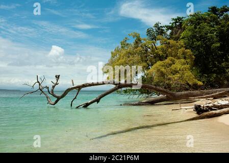 The untouched, Caribbean beach of Cayo Zapatilla #1, Bocas del Toro Province, Panama. Oct 2018 Stock Photo