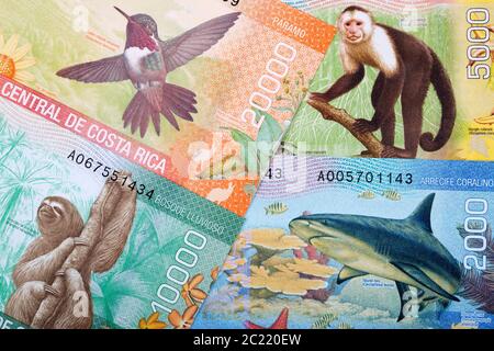 Costa Rican Colones, a background Stock Photo