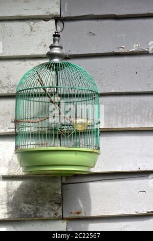 empty birg cage Stock Photo