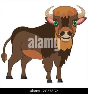 Vector illustration of the wildlife bison from the side drawing baby Stock Photo