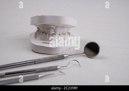 plaster model  of teeth and different dental instruments on bright ground Stock Photo