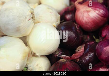 Red and white onions in the tray Stock Photo