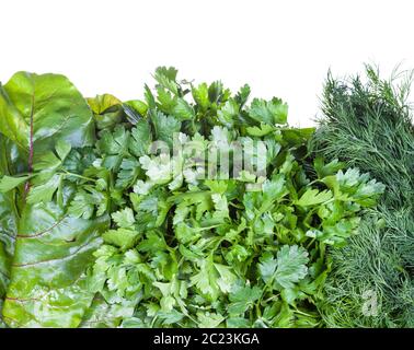 natural food background - various wet fresh herbs (beet greens, dill, parsley) close-up isolated on white background Stock Photo
