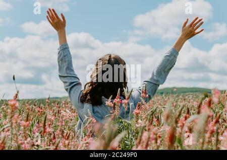 Back view of young woman in pink flower field with arms up towards the blue sky Stock Photo