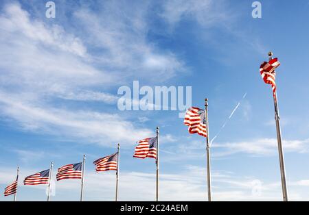 A group of American flags waving on a sunny day. Stock Photo