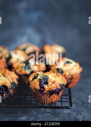 Homemade vegan blueberry muffins on cooling rack. Vegetarian egg-free muffins on dark background. Vertical. Copy space for text or design. Stock Photo