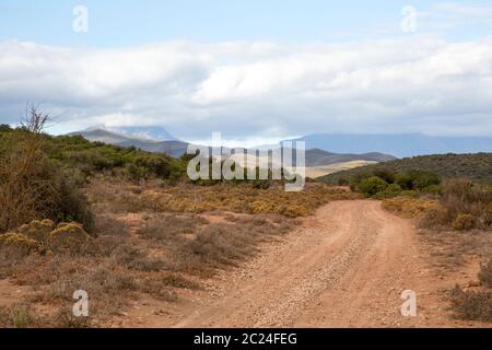 Unpaved gravel road to stalk in Game Drive in Africa Stock Photo