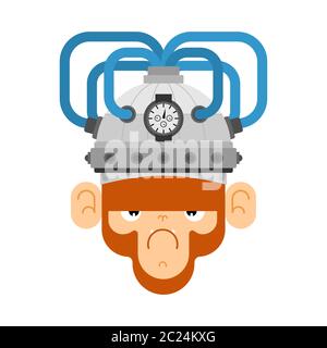 Monkey and brain stimulation helmet. Apparatus Electronic action on brain activity. Chimpanzee and mind stimulator. brain-control helm Stock Vector