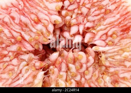 Close up of inside of a ripe sweet fig with its seeds Stock Photo