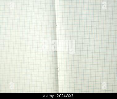 texture of an open school notebook in a cage, full frame, close up Stock Photo