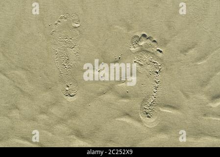 footsteps on beach in sandy. Footsteps on the coral sandy beach. footprints in the sand. Stock Photo