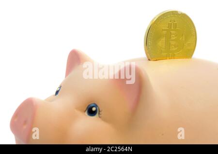 A closeup image of a golden Bitcoin piece being deposited into a piggy bank for concepts related to the cryptocurrency business. Stock Photo