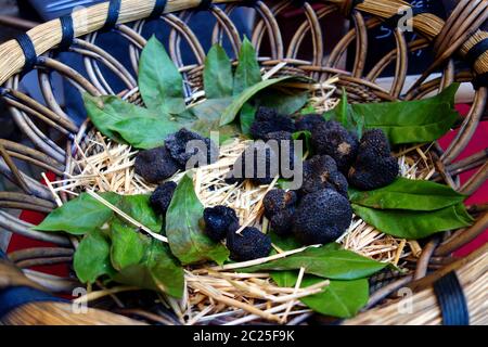 Black truffles Stock Photo