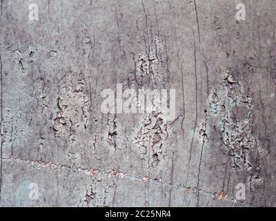 a stucco effect grey plastered cracked textured concrete surface Stock Photo
