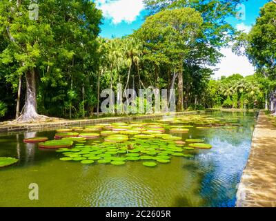 Sir Seewoosagur Ramgoolam Botanical Garden in Pamplemousses, Mauritius island Stock Photo