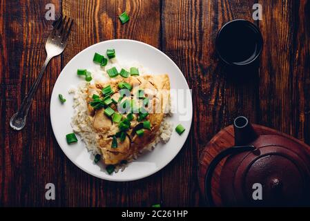 Japanese dish. Rice with scrambled eggs, chicken and green onion Stock Photo