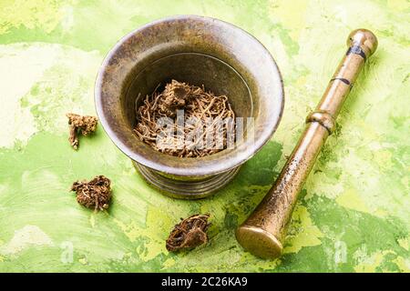 Dried Valerian roots in old bronze mortar.Valeriana officinalis Stock Photo