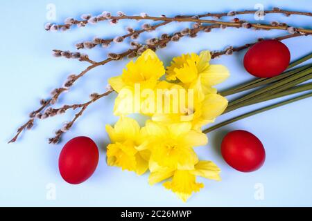 Easter holiday scene still life, narcissus flowers, red colored eggs and branch are on blue background. Stock Photo
