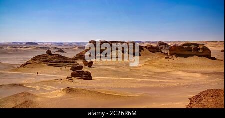 Nature sculpture in Wadi Al-Hitan aka Whales Valley in Egypt Stock Photo