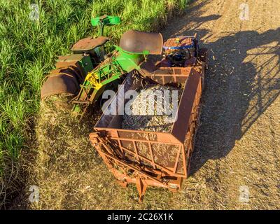 Aerial sugarcane field in Brazil. Tractor working, agribusiness . Stock Photo