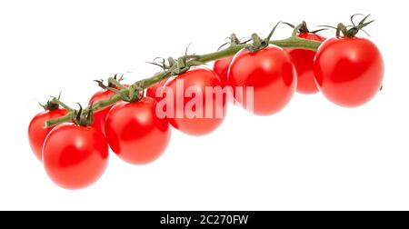 branch of ripe red Cherry tomatoes isolated on white background Stock Photo