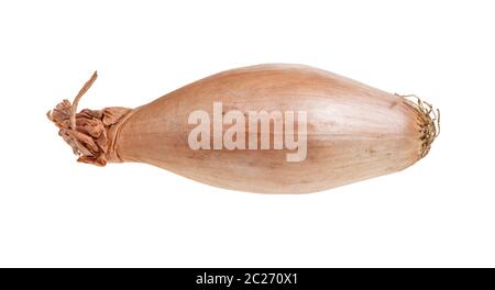 ripe bulb of shallot onion isolated on white background Stock Photo