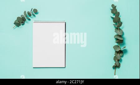 Blank notebook and eucalyptus on blue background. Empty notebook paper and eucalyptus branch on pastel blue background with copy space for text or des Stock Photo