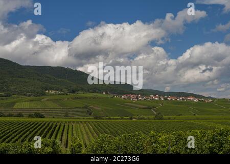 On the German Wine Route Stock Photo
