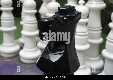 Giant garden chess pieces chessboard Stock Photo