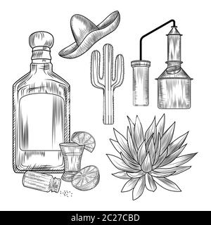 Set of tequila. Shot glass and bottle tequila, salt, lime, blue agave, copper cube, sombrero, cactus. Engraving vintage style. Vector illustration. Stock Vector