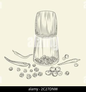 Peppercorn mill concept. Pepper set. Grinder spices and food ingredients. Vintage engraved style. Vector illustration Stock Vector