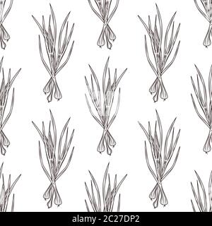 Green onion ink sketch seamless pattern on white background. Monochrome food ingredient backdrop. Natural organic fresh food wallpaper. Vintage hand d Stock Vector