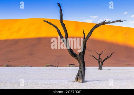 Deadvlei in Namib-Naukluft National Park of Namibia Stock Photo