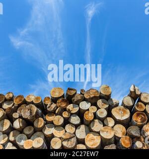 Many sawed pine logs stacked in a pile under cloudy sky. Front view close-up. Stock Photo