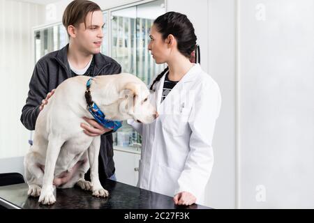 Dog owner talking with doctor in clinic Stock Photo