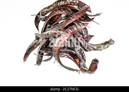 Gleditsia triacantnos, pods on a white background Stock Photo