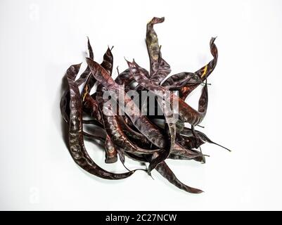 Gleditsia triacantnos, pods on a white background Stock Photo