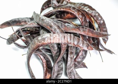 Gleditsia triacantnos, pods on a white background Stock Photo