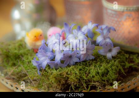 Frohe Ostern Stock Photo