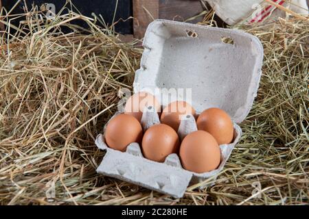 six eggs in the package on the straw Stock Photo