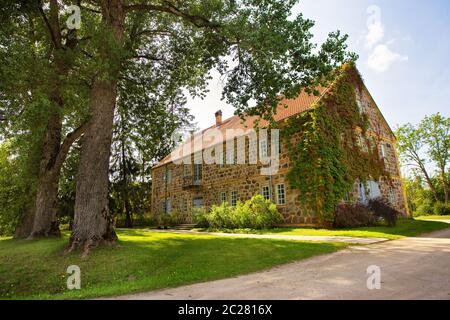 Aged Home. A old brick house wall covered by grape ivy (parthenocissus tricuspidata) in Sigulda, Turaida, Europe, Latvia Stock Photo