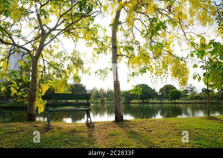 A View of a Beautiful Park in the Morning Sun Stock Photo