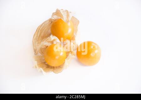 Cape gooseberry (Physalis) isolated on white background