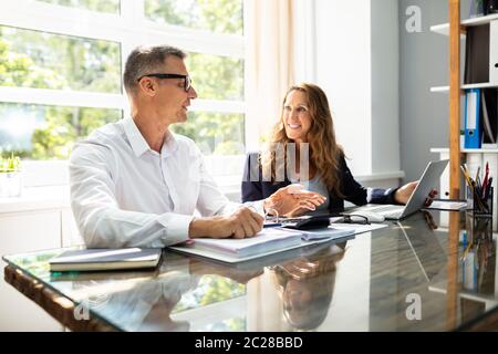 Smiling Two Mature Businesspeople Working On Laptop In Office Stock Photo