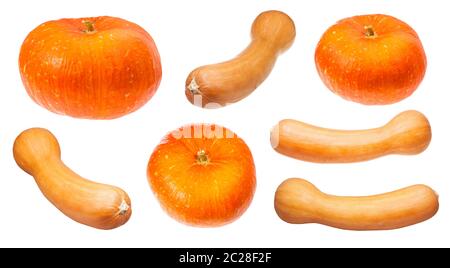 various orange pumpkins isolated on white background Stock Photo
