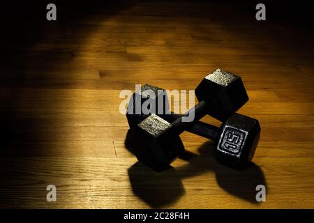 Two 15 Pound Weights Stock Photo