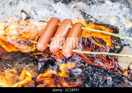 Grilling sausages over an open fire outdoors. Stock Photo