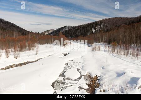 Frozen river in the forest covered with snow, in the background trees covered with snow, you can see Stock Photo