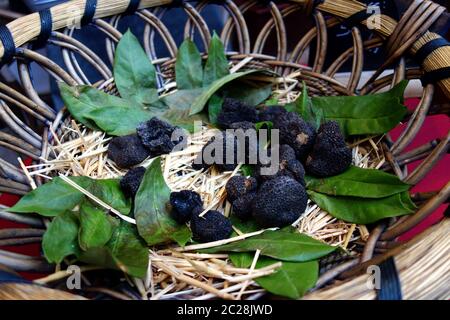 Black truffles Stock Photo
